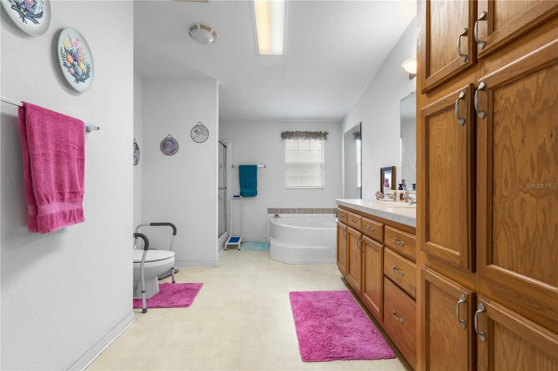 12251 SE 66th Place Morriston FL 32668