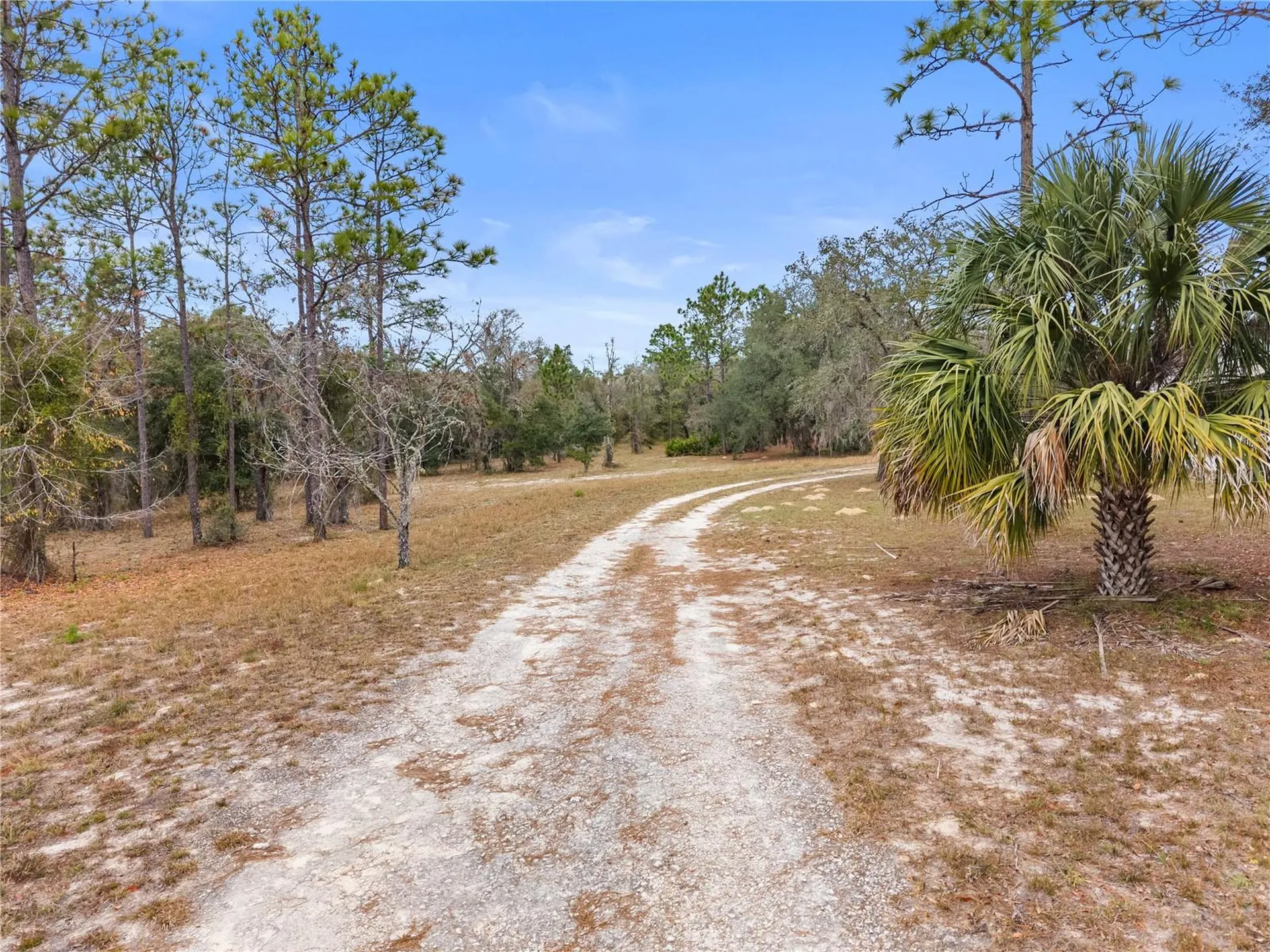 12251 SE 66th Place Morriston FL 32668
