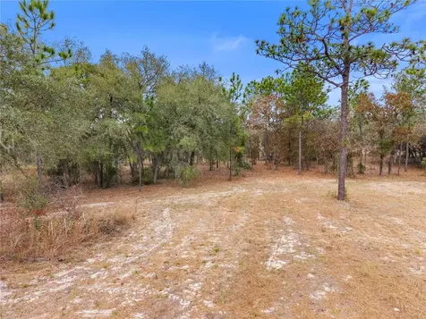12251 SE 66th Place Morriston FL 32668