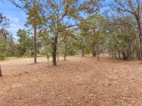 12251 SE 66th Place Morriston FL 32668