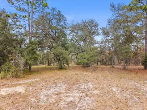 12251 SE 66th Place Morriston FL 32668