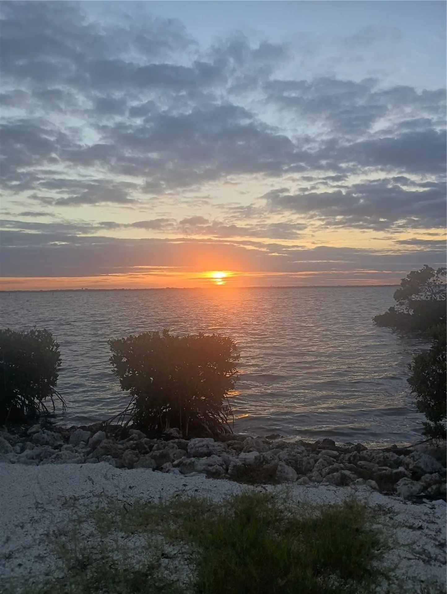 2800 Harbourside Drive Longboat Key FL 34228