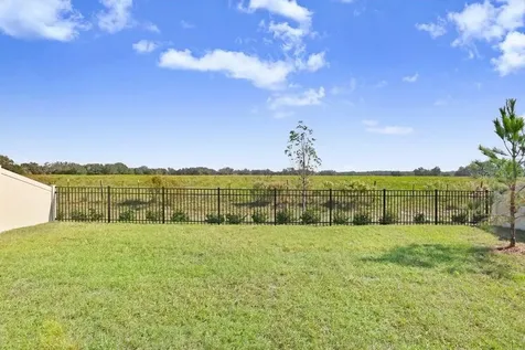 33570 Darley Dale Trail Wesley Chapel FL 33545