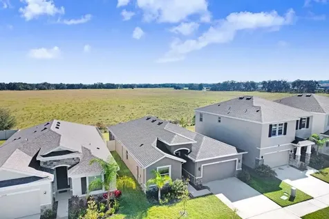 33570 Darley Dale Trail Wesley Chapel FL 33545