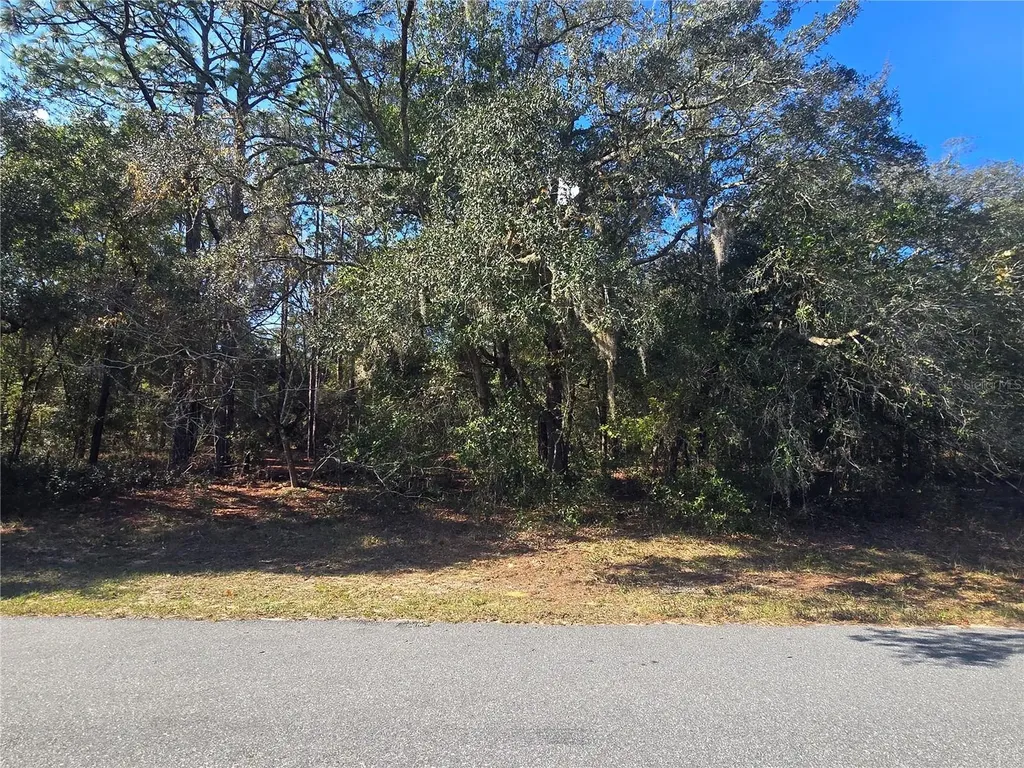 11370 N Ortega Point Dunnellon FL 34433
