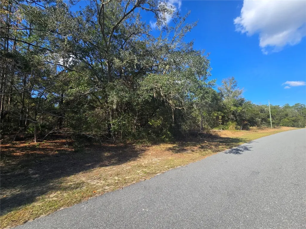11370 N Ortega Point Dunnellon FL 34433
