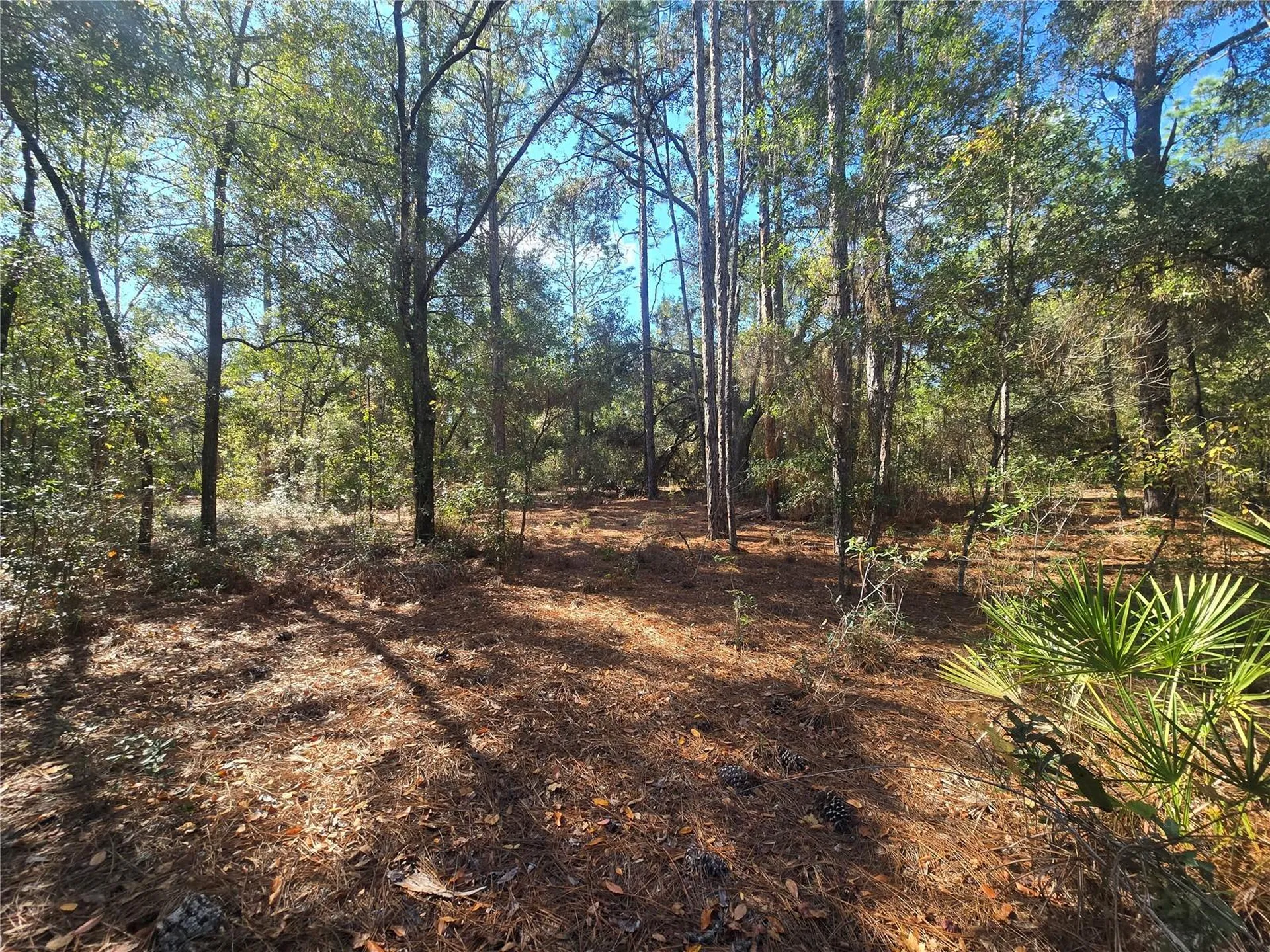 11370 N Ortega Point Dunnellon FL 34433