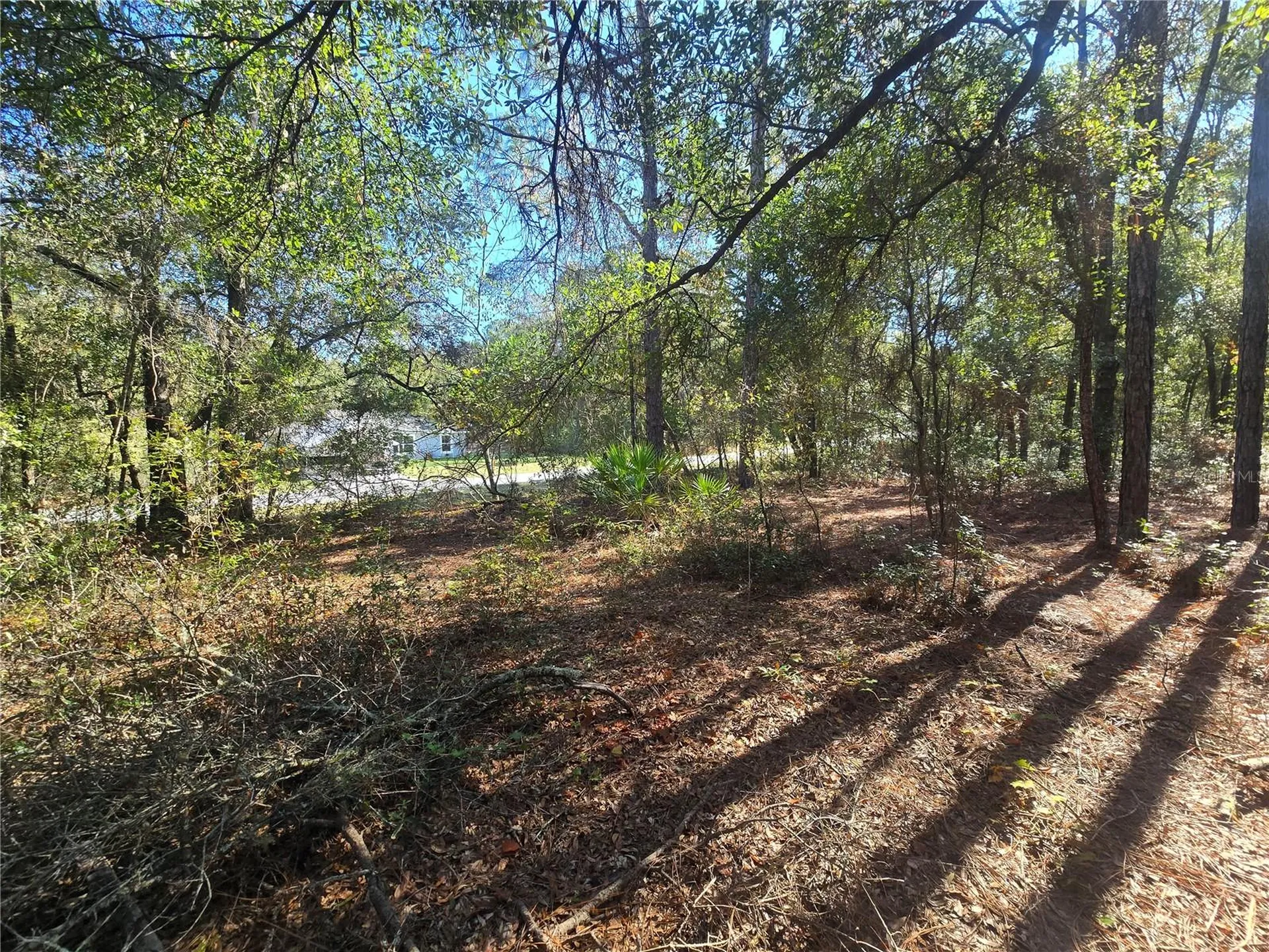 11370 N Ortega Point Dunnellon FL 34433