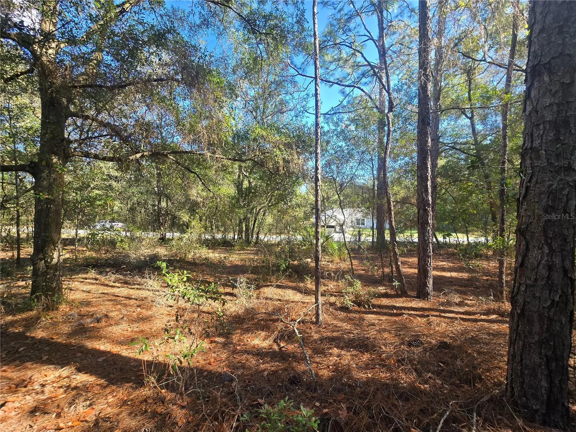 11370 N Ortega Point Dunnellon FL 34433