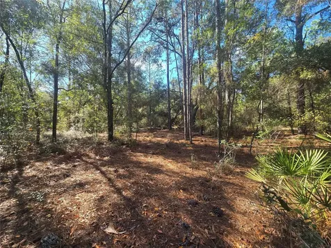 11370 N Ortega Point Dunnellon FL 34433