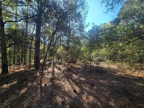 11370 N Ortega Point Dunnellon FL 34433