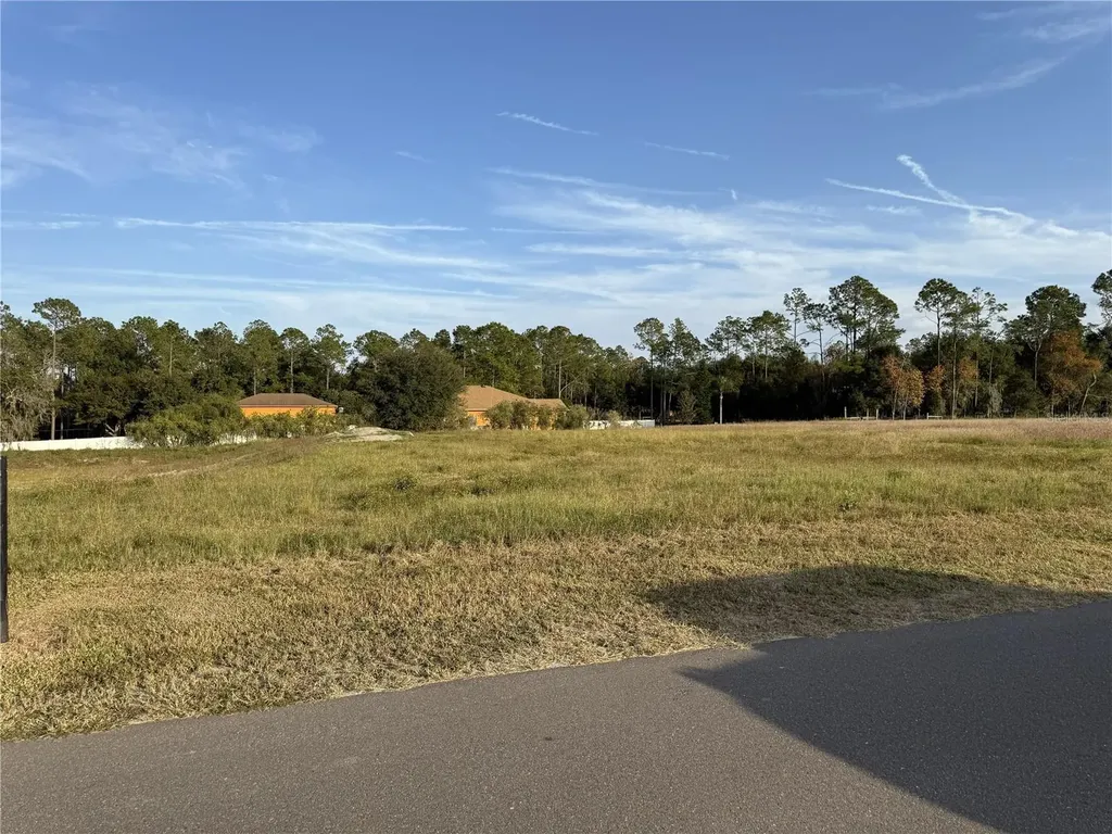 14950 Mim Place Dade City FL 33525