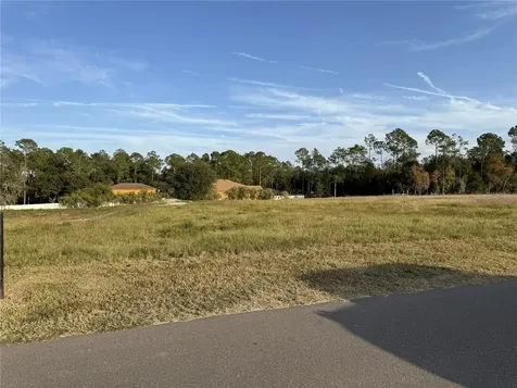 14950 Mim Place Dade City FL 33525