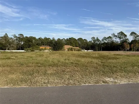 14950 Mim Place Dade City FL 33525