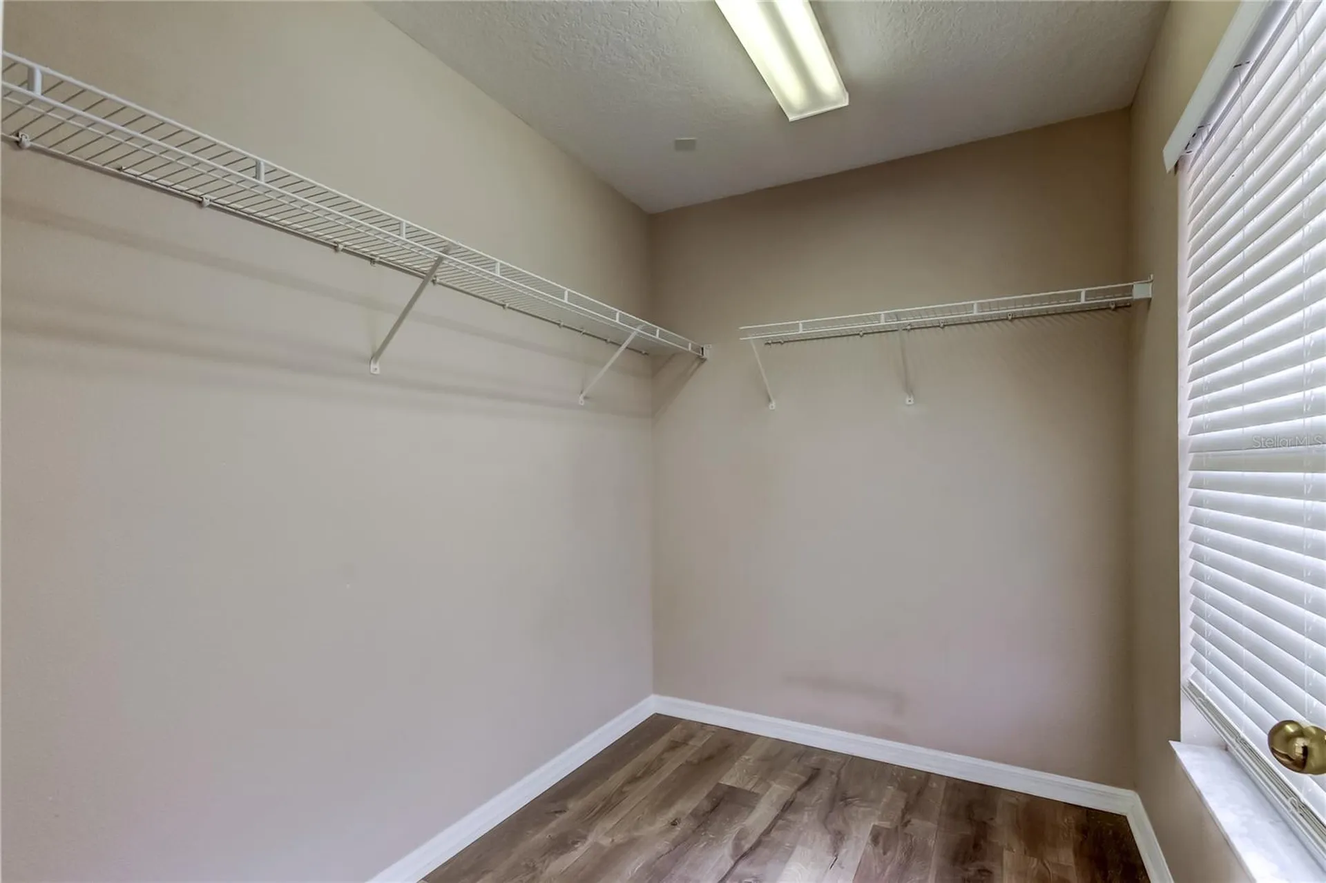 6019 Cape Loop Land O Lakes FL 34639