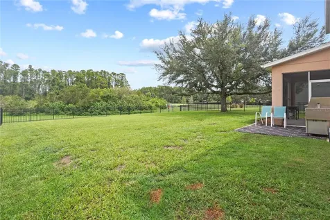 6019 Cape Loop Land O Lakes FL 34639