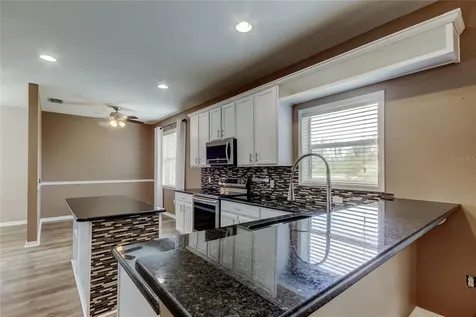6019 Cape Loop Land O Lakes FL 34639
