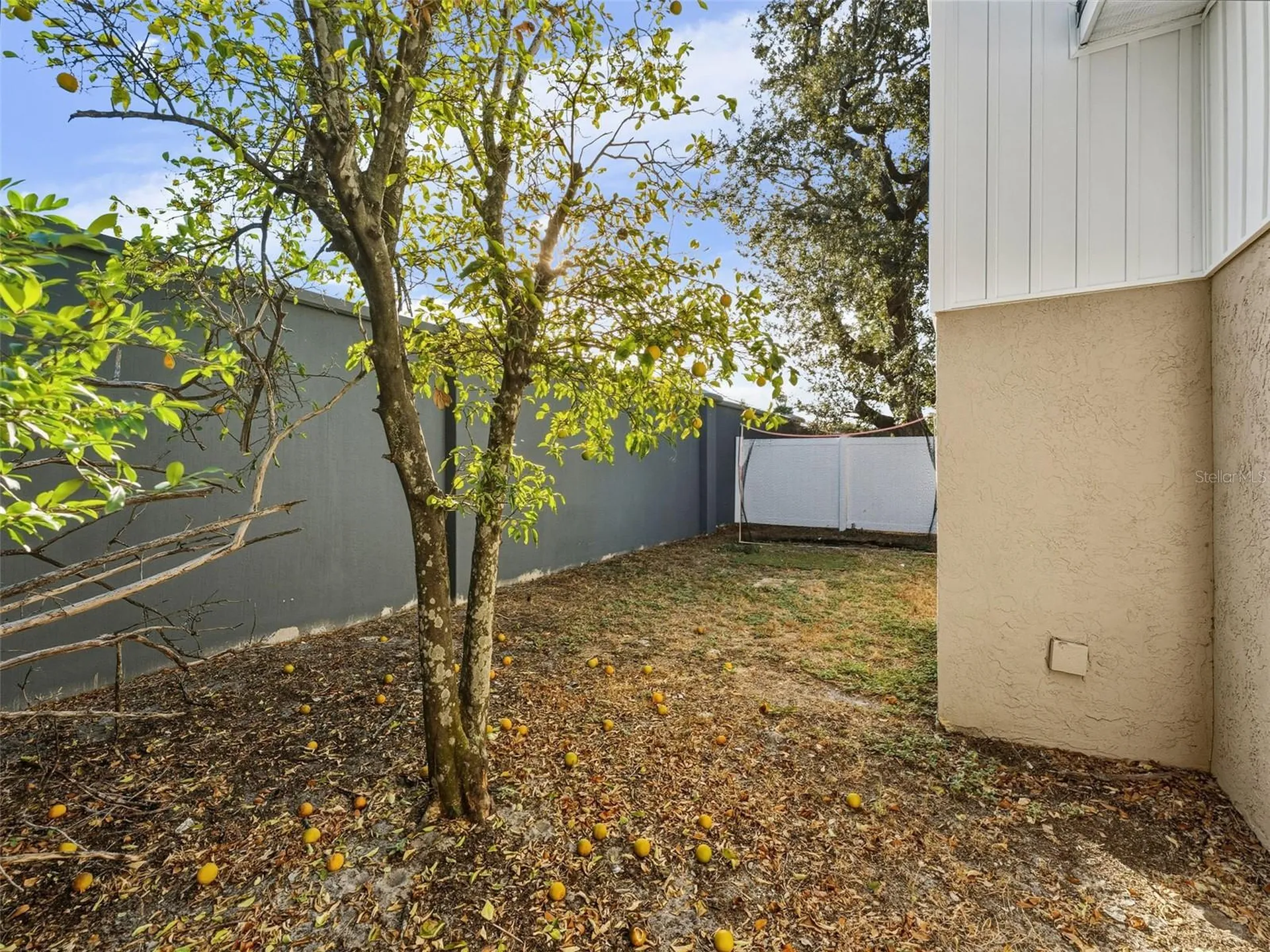 4016 W Nassau Street Tampa FL 33607