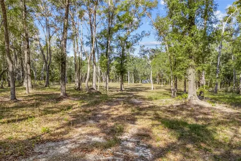 4120 NW 192nd Drive Newberry FL 32669