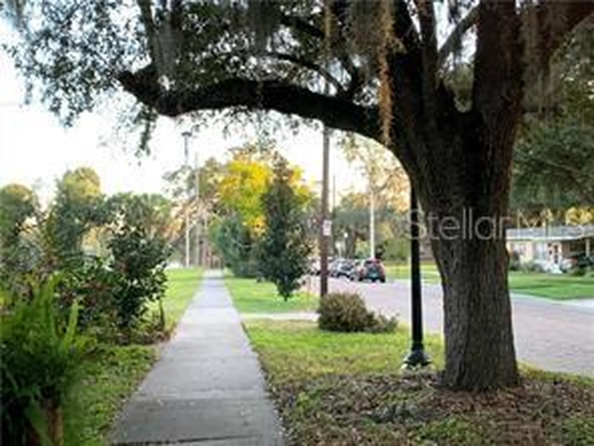 19 A N Thornton Avenue W Orlando FL 32801