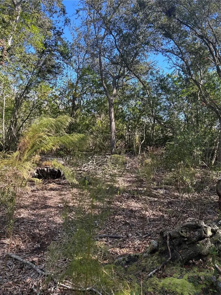 7740 E Smoke Trail Inverness FL 34453