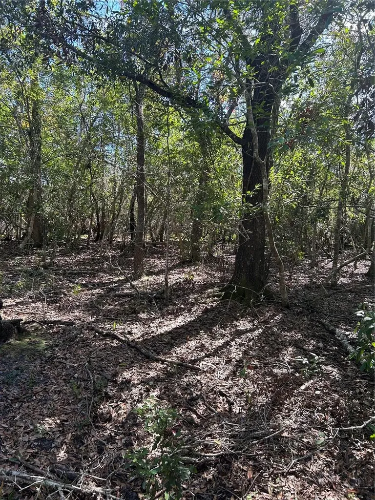 7740 E Smoke Trail Inverness FL 34453