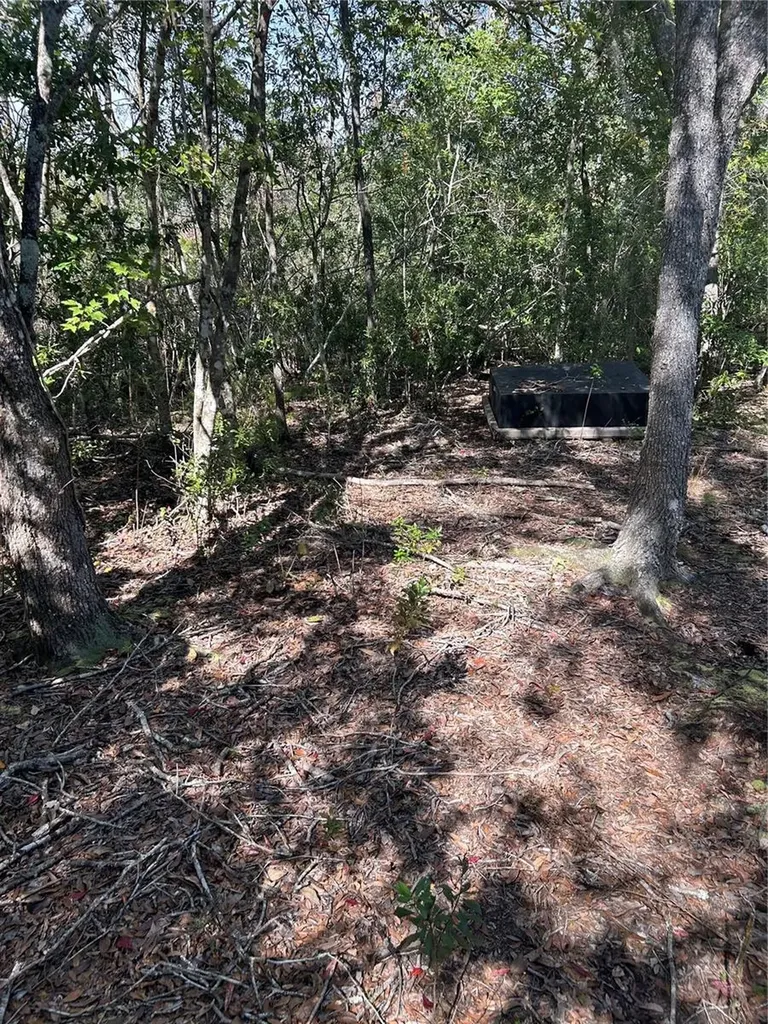 7740 E Smoke Trail Inverness FL 34453
