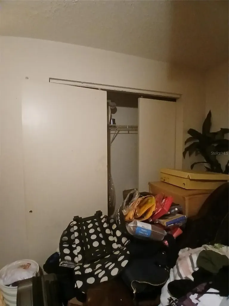 4031 Tumble Wood Trail Tampa FL 33613