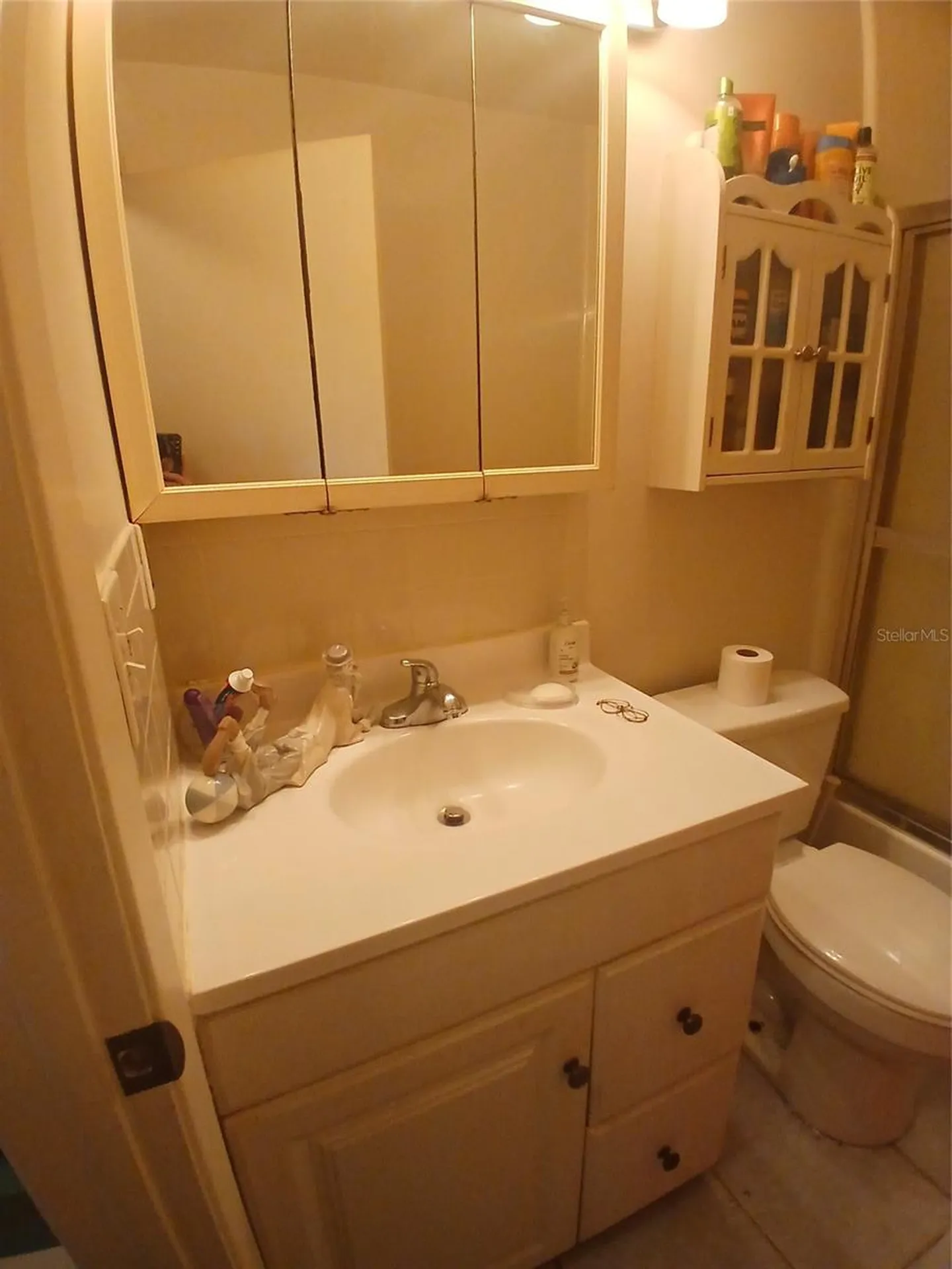 4031 Tumble Wood Trail Tampa FL 33613