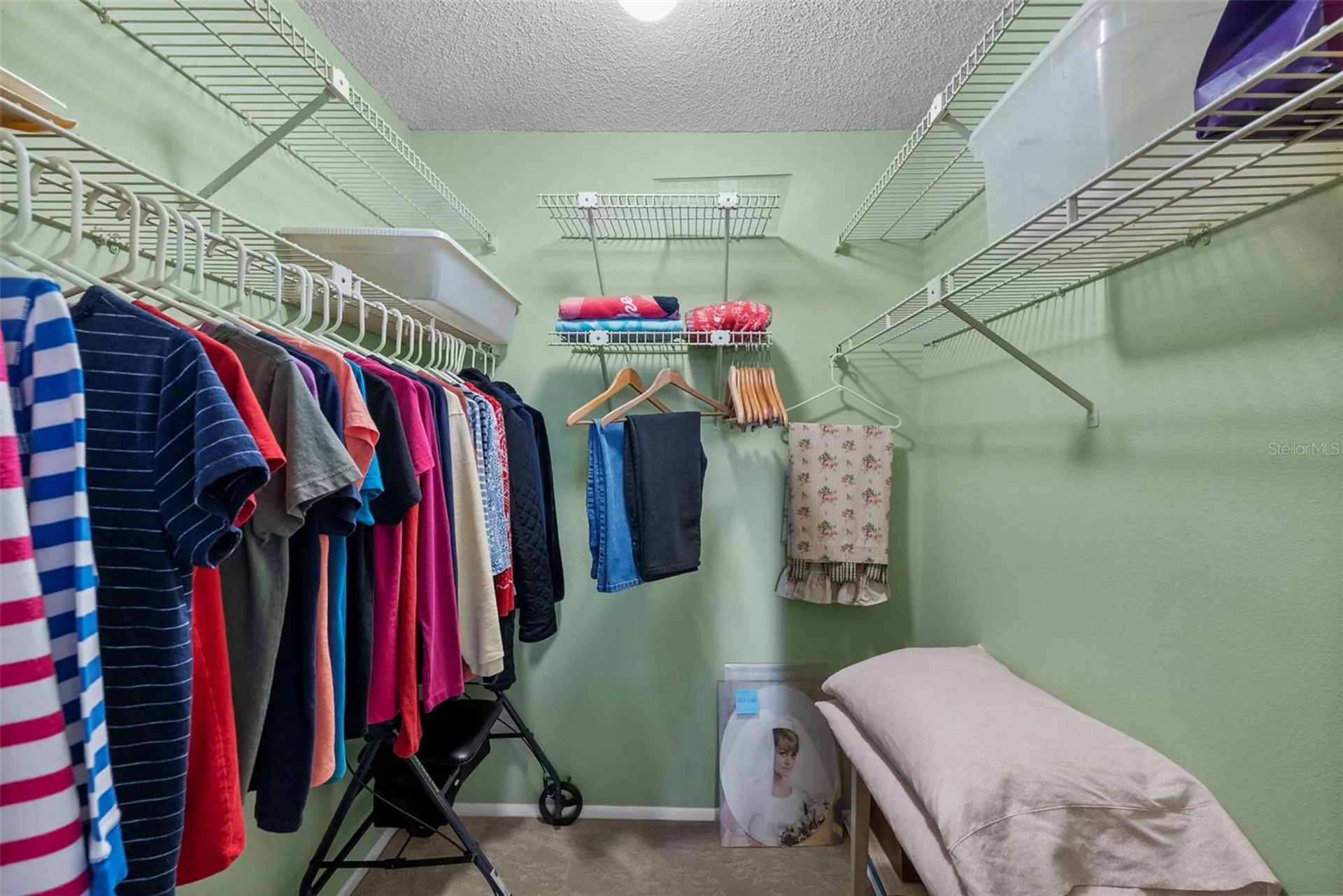 3277 Fox Chase Circle N Palm Harbor FL 34683