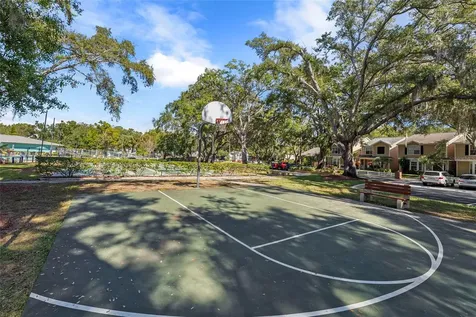3277 Fox Chase Circle N Palm Harbor FL 34683