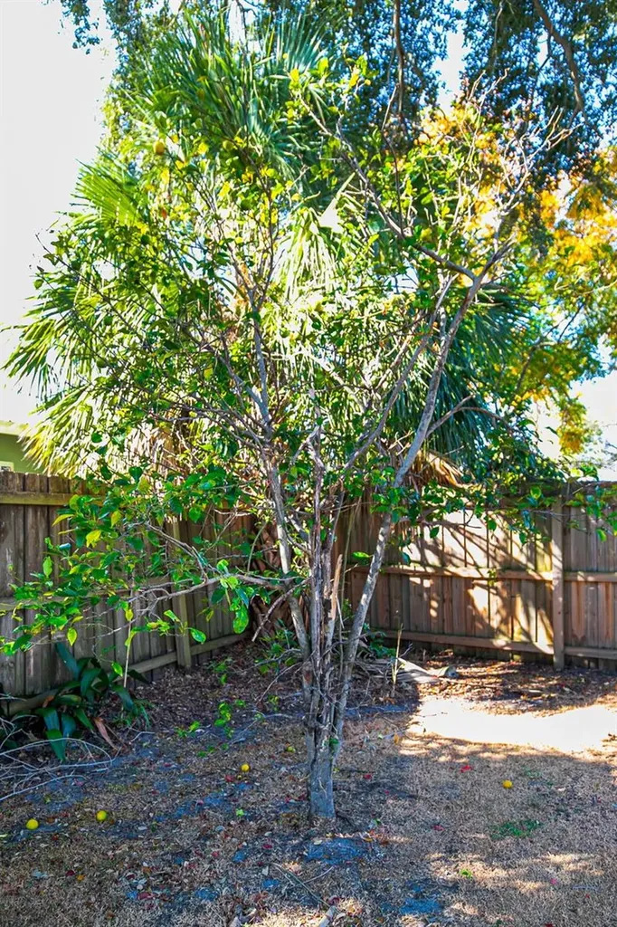 2412 Grove Street Sarasota FL 34239