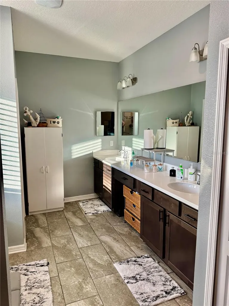 12409 Brick Cobblestone Drive Riverview FL 33579