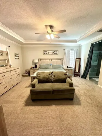 12409 Brick Cobblestone Drive Riverview FL 33579