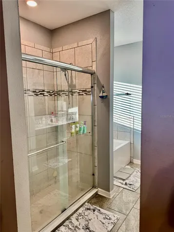 12409 Brick Cobblestone Drive Riverview FL 33579