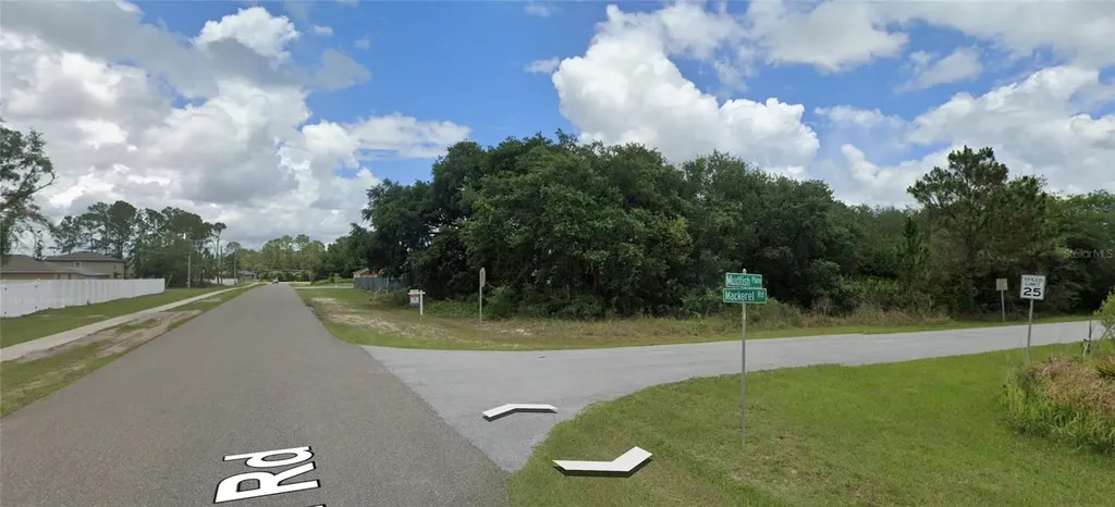 1 Mudfish Place Kissimmee FL 34759