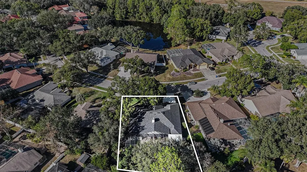 15818 Fairchild Drive Tampa FL 33647