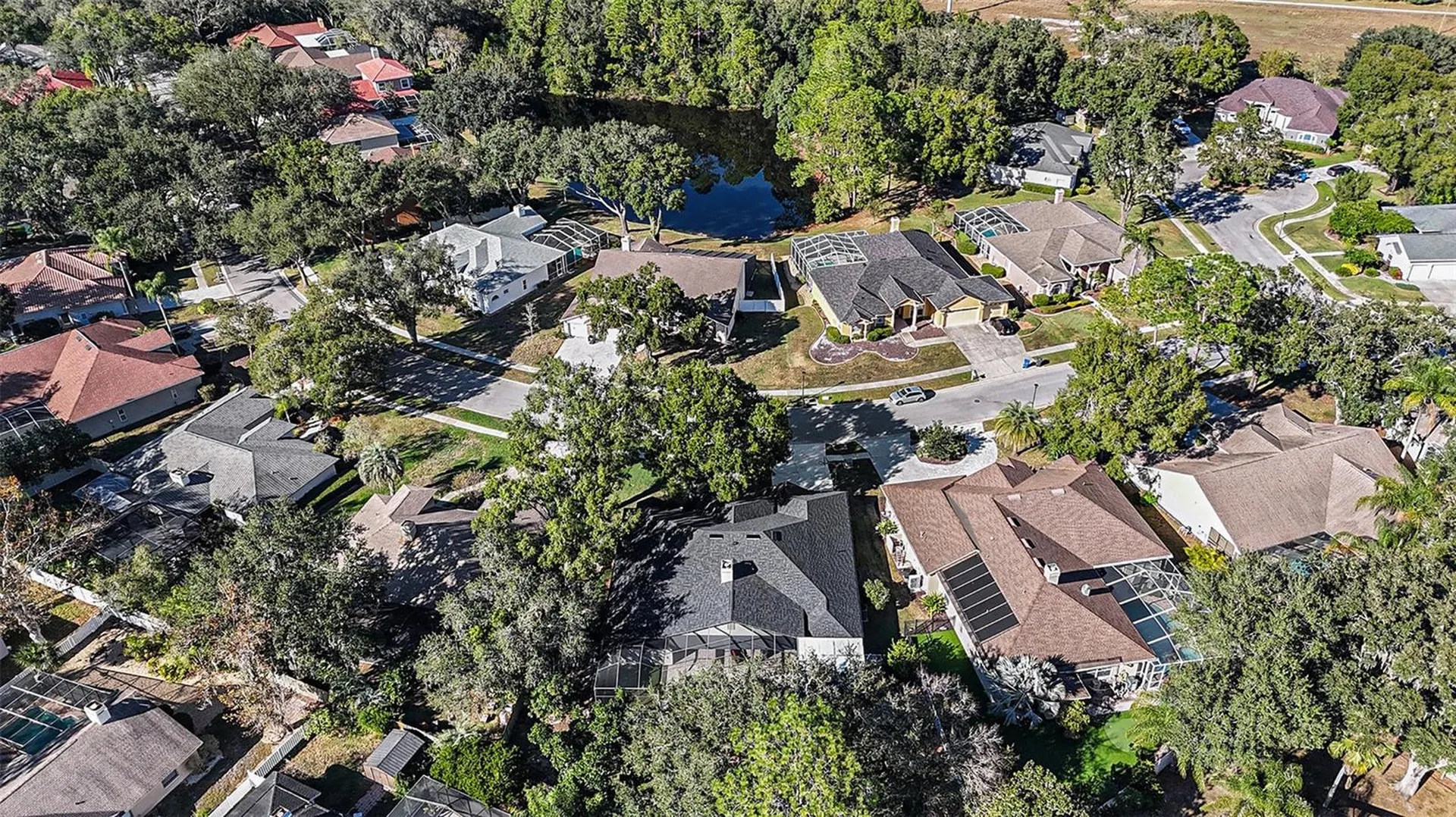 15818 Fairchild Drive Tampa FL 33647