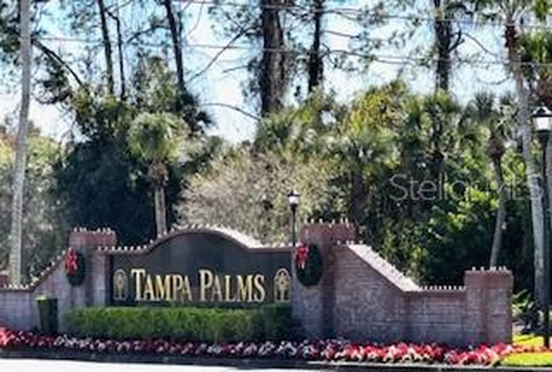 15818 Fairchild Drive Tampa FL 33647