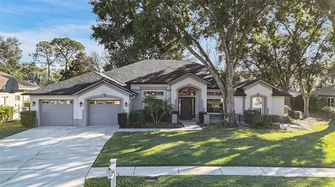 15818 Fairchild Drive Tampa FL 33647