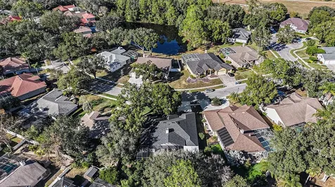 15818 Fairchild Drive Tampa FL 33647