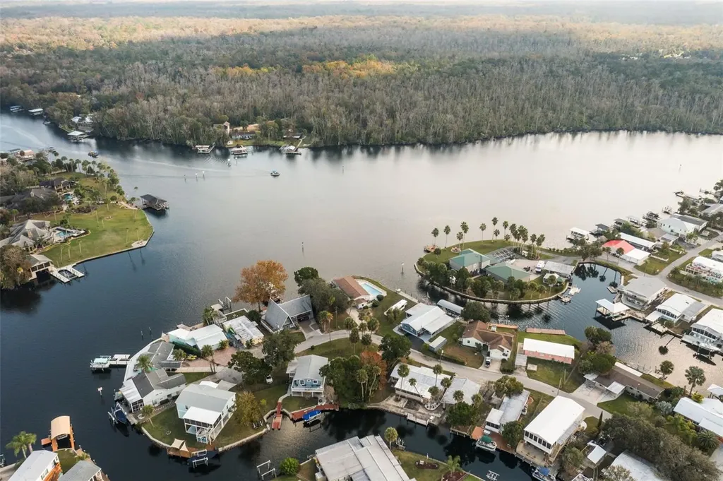 10199 W Blue Springs Court Homosassa FL 34448