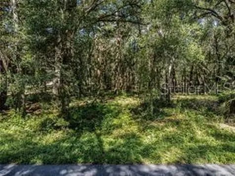 Huff Road Eustis FL 32726