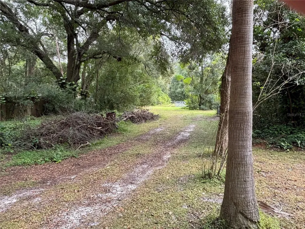 3427 Golden Gem Road Apopka FL 32712