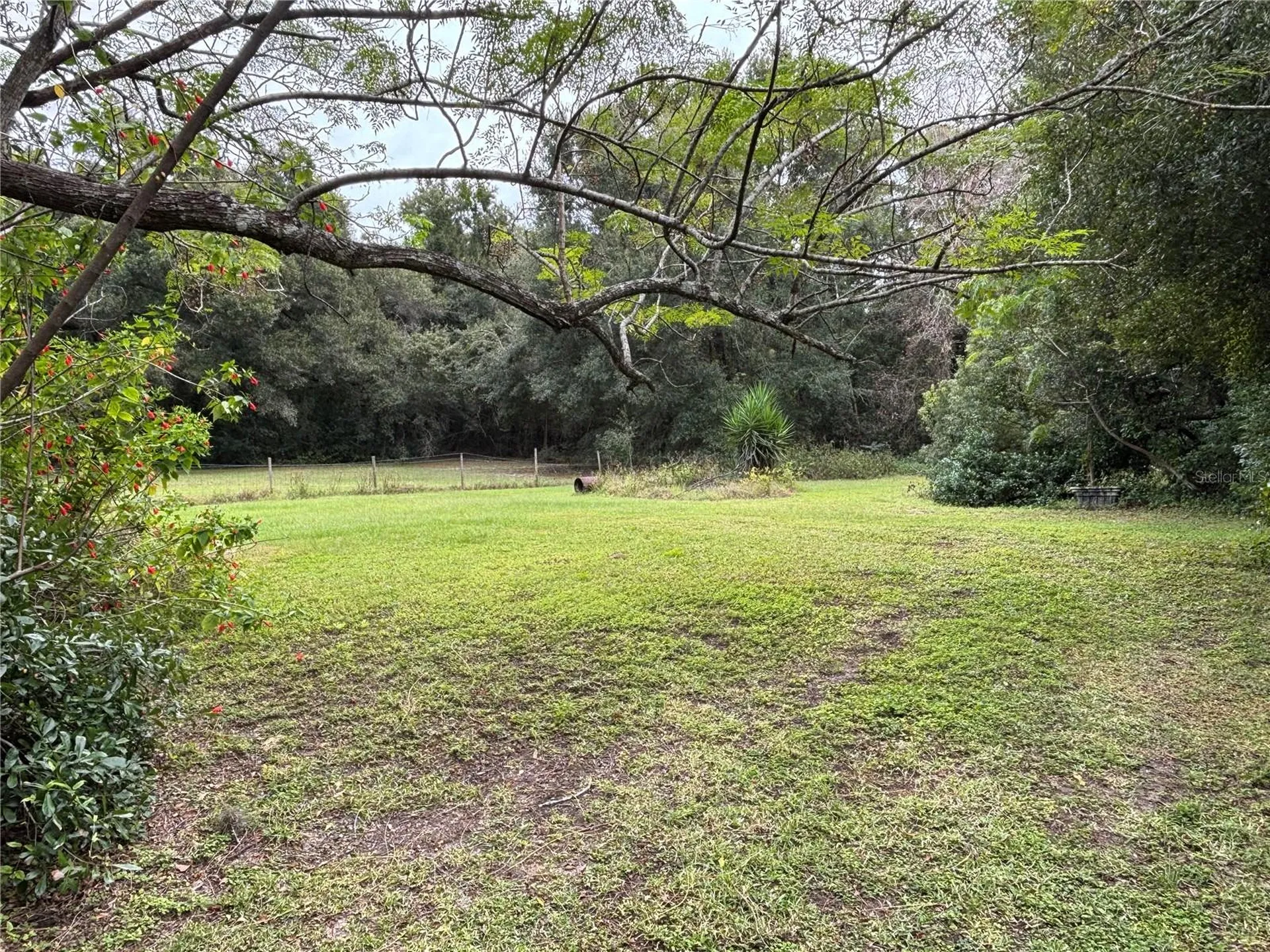 3427 Golden Gem Road Apopka FL 32712