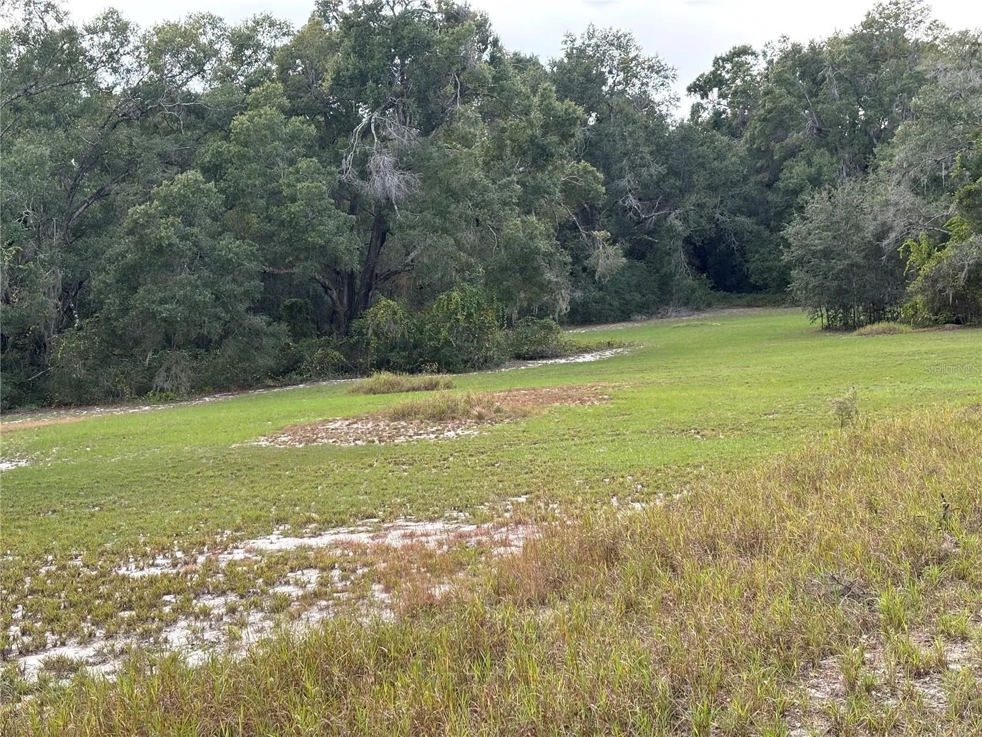 3427 Golden Gem Road Apopka FL 32712