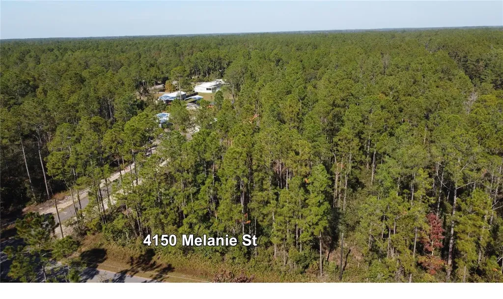 4150 Melanie Street Hastings FL 32145