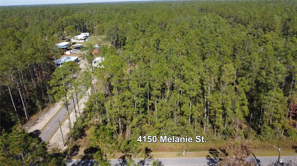 4150 Melanie Street Hastings FL 32145