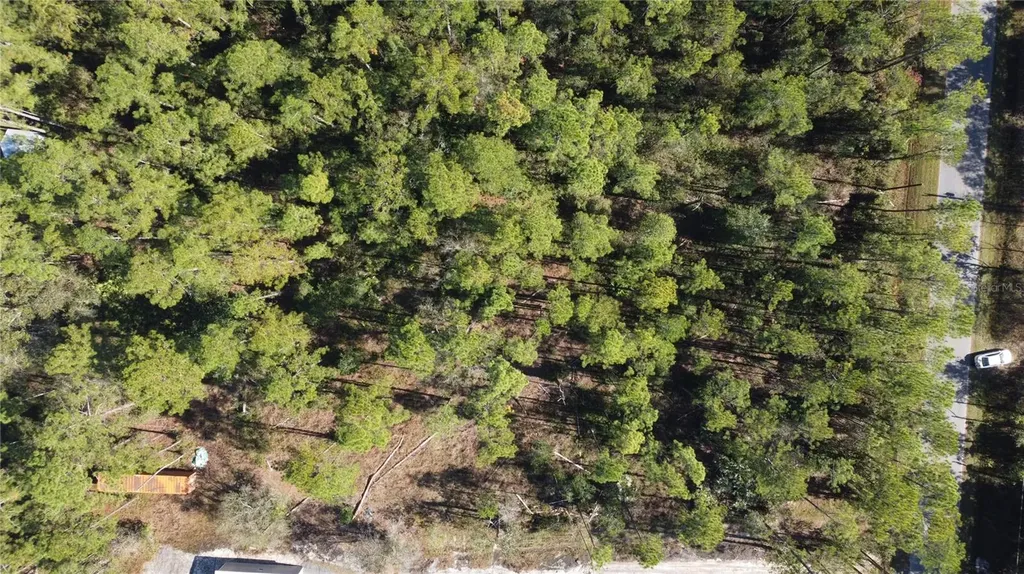 4150 Melanie Street Hastings FL 32145