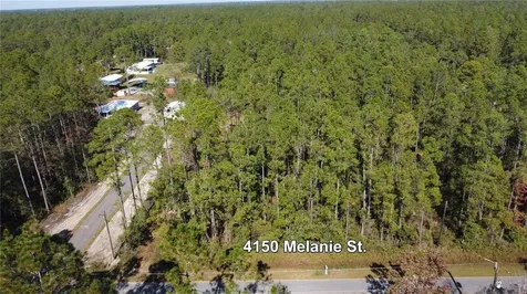 4150 Melanie Street Hastings FL 32145